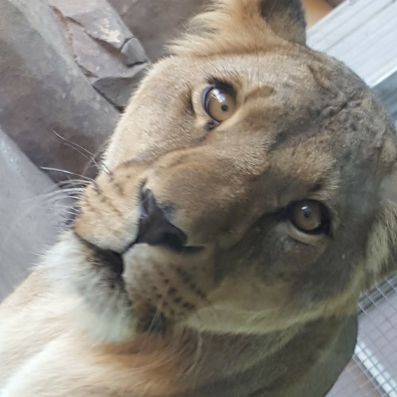 Mens Shirts Shorts Jeans and Accessories - Picture 1 of 1